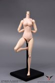 画像8: Female body  1/6　“Mermaid Posture” single pack　フィギュア　*お取り寄せ