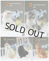 画像: Mr.Z　1/6　エキゾチックショートヘア(Garfield)　*お取り寄せ