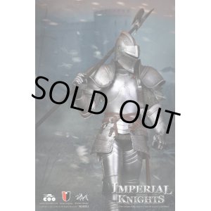 画像: COOMODEL　1/6　Imperial Knight　インペリアルナイト　ロイヤル　フィギュア　SE011　