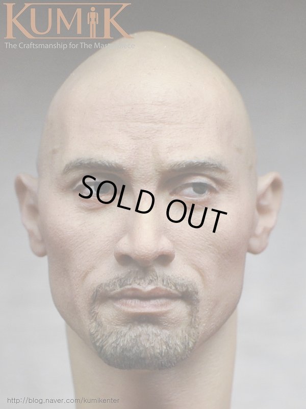 ELEVEN ドウェイン・ジョンソン 風 1/6 スケール ヘッド 2種類セット ELEVEN x KAI 1/6 ROCK ヘッド ドゥエイン・ジョンソン EK01AB
