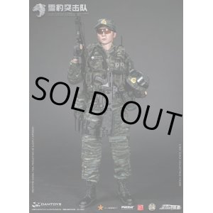 画像: DAMTOYS 1/6 中国人民武装警察部隊 雪豹突撃隊 Snow Leopard Commando 隊員 フィギュア 78052 *予約