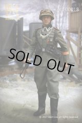 画像: Alert Line 1/6 WWII ドイツ国防軍 陸軍 グロースドイッチュラント師団 アウトフィット＆アクセサリーセット AL100018 *お取り寄せ