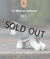 画像: Mr.Z　1/6　ミニチュア シュナウザー　スタンダード・シュナウザー　MRZ019　*お取り寄せ