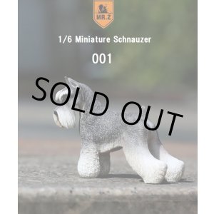 画像: Mr.Z　1/6　ミニチュア シュナウザー　スタンダード・シュナウザー　MRZ019　*お取り寄せ