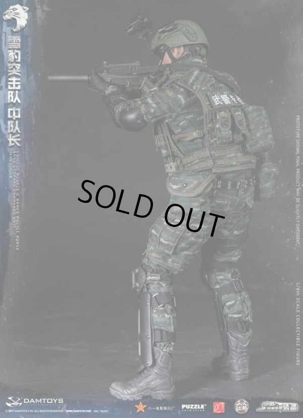 DAMTOYS 1/6 中国人民武装警察部隊特警部隊 雪豹突撃隊 中隊長