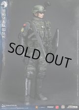 画像: DAMTOYS 1/6 中国人民武装警察部隊特警部隊 雪豹突撃隊 中隊長/ スノーレパード コンバット ユニット チームリーダー フィギュア 78053 *予約