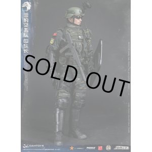 画像: DAMTOYS 1/6 中国人民武装警察部隊特警部隊 雪豹突撃隊 中隊長/ スノーレパード コンバット ユニット チームリーダー フィギュア 78053 *予約