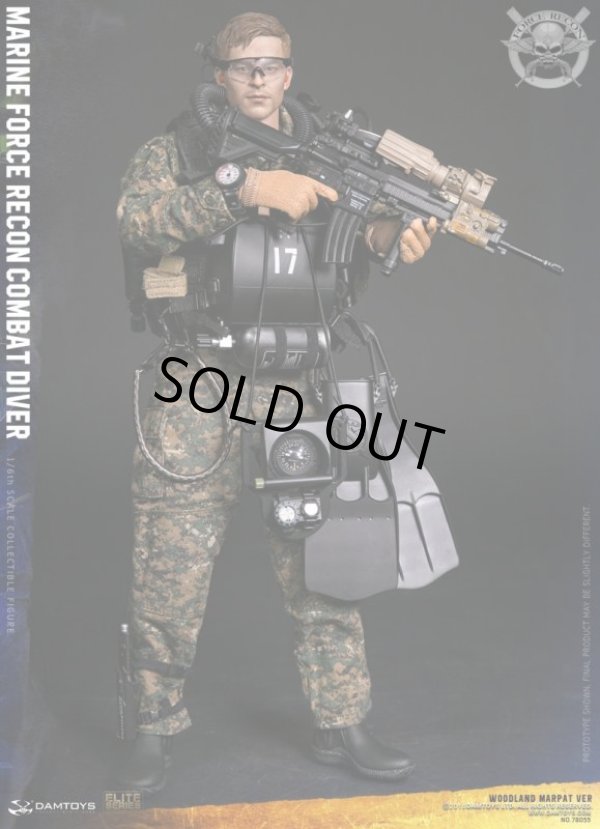 DAMTOYS 1/6 アメリカ海兵隊武装偵察部隊 マリーン フォース