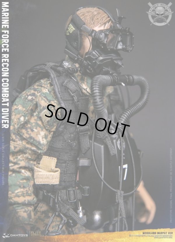 DAMTOYS 1/6 アメリカ海兵隊武装偵察部隊 マリーン フォース DAMTOYS 1/6 アメリカ海兵隊武装偵察部隊 マリーン フォース
