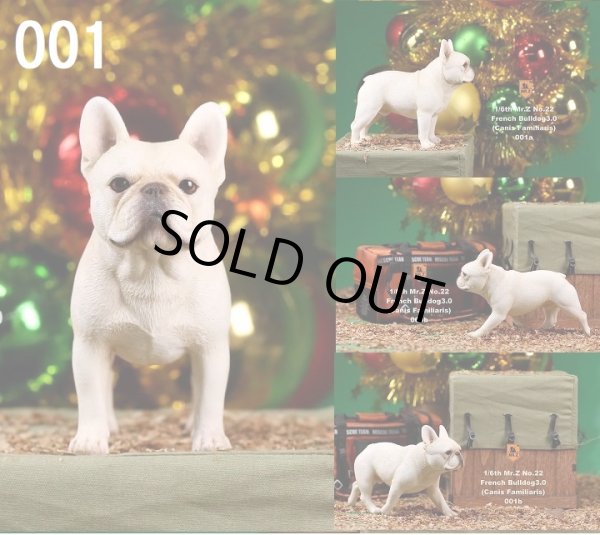 画像1: Mr.Z 1/6 フレンチブルドッグ 3.0 2体セット スタチュー MRZ022 *お取り寄せ