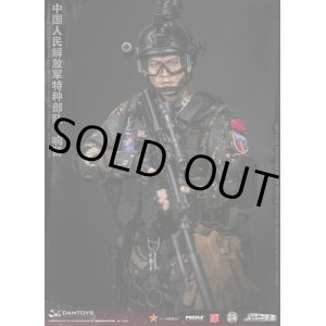 画像: DAMTOYS 1/6 中国人民解放軍 特種部隊 响箭 XIANGJIAN アクションフィギュア 78048 *予約