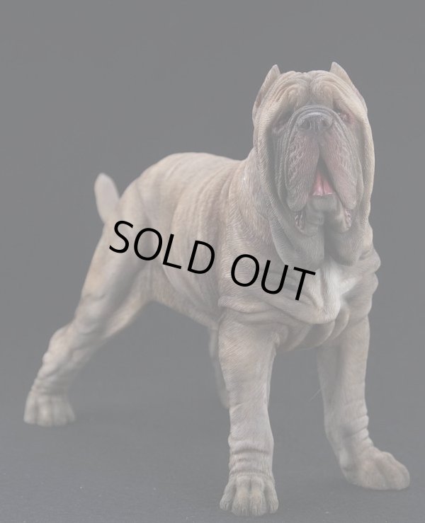Mr.Z　1/6 ナポリタン・マスティス 動物 置物 フィギュア 004 フィギュア専門店 -ソダチトイズ / Mr.Z 1/6 ナポリタン
