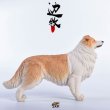 画像17: JxK.Studio 1/6 ボーダー コリー犬 牧羊犬 4種 JxK006 *お取り寄せ