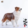 画像8: JxK.Studio 1/6 ボーダー コリー犬 牧羊犬 4種 JxK006 *お取り寄せ