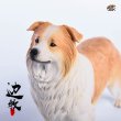 画像19: JxK.Studio 1/6 ボーダー コリー犬 牧羊犬 4種 JxK006 *お取り寄せ