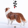 画像10: JxK.Studio 1/6 ボーダー コリー犬 牧羊犬 4種 JxK006 *お取り寄せ