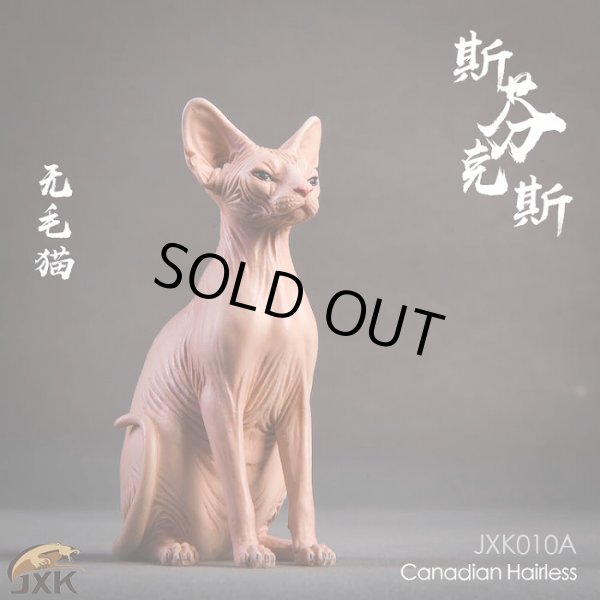 画像2: JxK.Studio　1/6　スフィンクス キャット  3種　JxK010　*お取り寄せ
