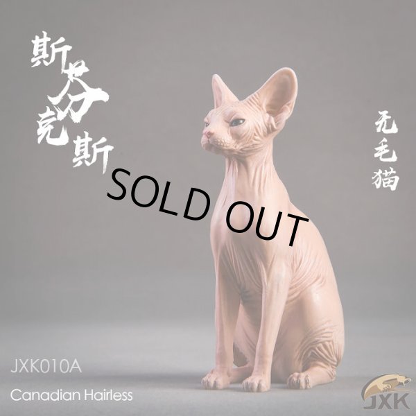 画像5: JxK.Studio　1/6　スフィンクス キャット  3種　JxK010　*お取り寄せ