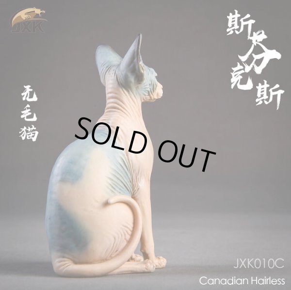 画像12: JxK.Studio　1/6　スフィンクス キャット  3種　JxK010　*お取り寄せ