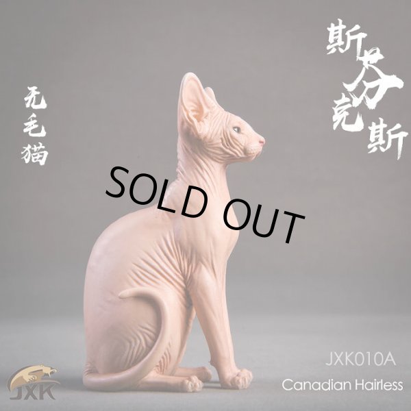 画像3: JxK.Studio　1/6　スフィンクス キャット  3種　JxK010　*お取り寄せ