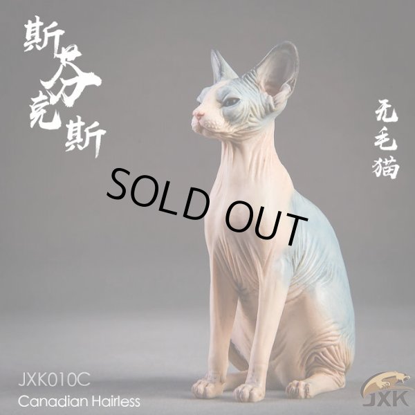 画像13: JxK.Studio　1/6　スフィンクス キャット  3種　JxK010　*お取り寄せ