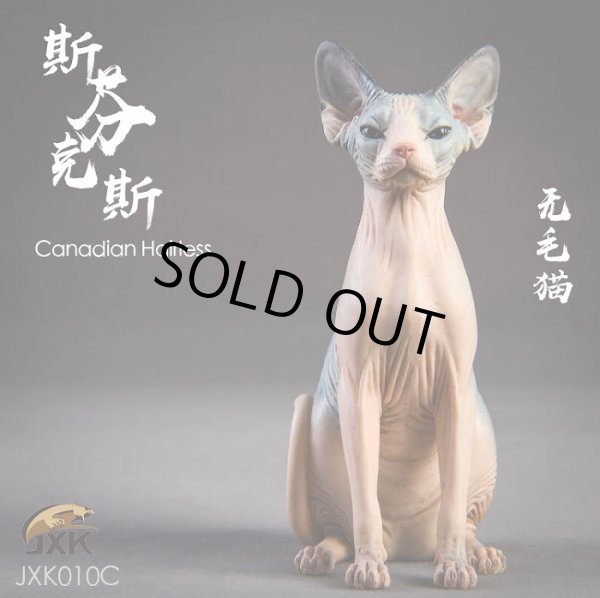 画像14: JxK.Studio　1/6　スフィンクス キャット  3種　JxK010　*お取り寄せ