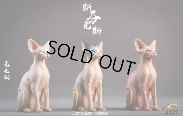 画像19: JxK.Studio　1/6　スフィンクス キャット  3種　JxK010　*お取り寄せ