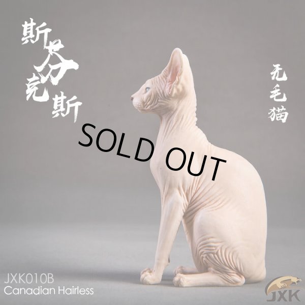 画像10: JxK.Studio　1/6　スフィンクス キャット  3種　JxK010　*お取り寄せ