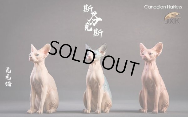 画像18: JxK.Studio　1/6　スフィンクス キャット  3種　JxK010　*お取り寄せ