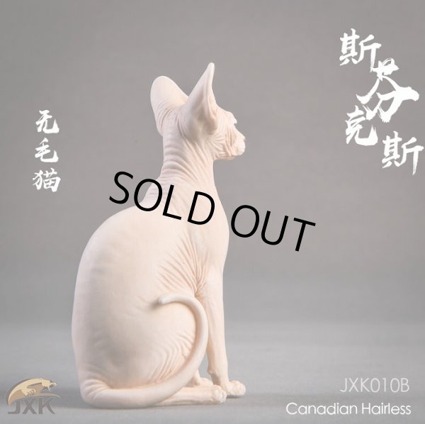 画像9: JxK.Studio　1/6　スフィンクス キャット  3種　JxK010　*お取り寄せ