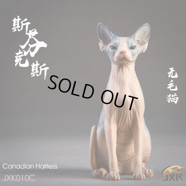 画像16: JxK.Studio　1/6　スフィンクス キャット  3種　JxK010　*お取り寄せ