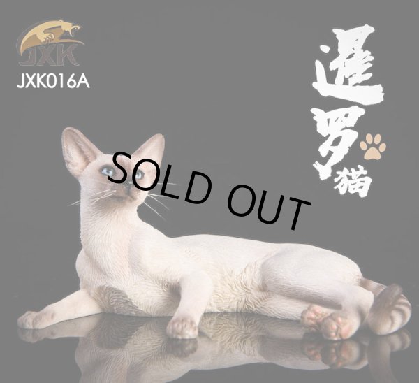 JxK Studio 1/6 シャム猫 寝そべり 3種 JxK016 *お取り寄せ - 1