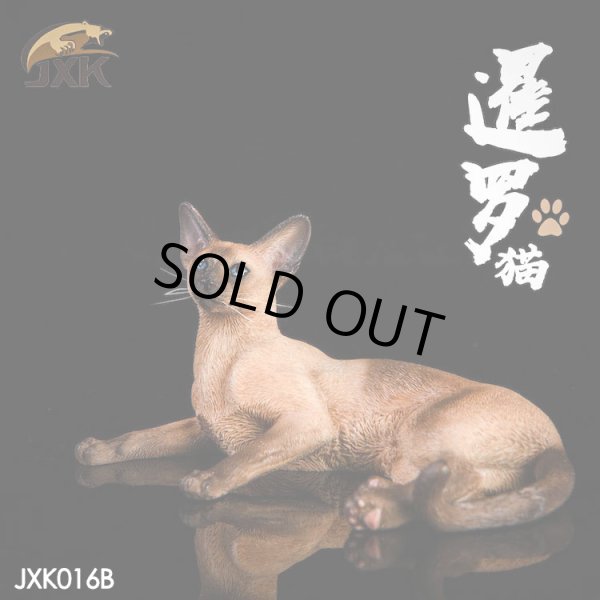 JxK Studio 1/6 シャム猫 寝そべり 3種 JxK016 *お取り寄せ - 1