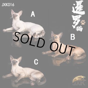 画像: JxK Studio 1/6　シャム猫 寝そべり 3種 JxK016 *お取り寄せ