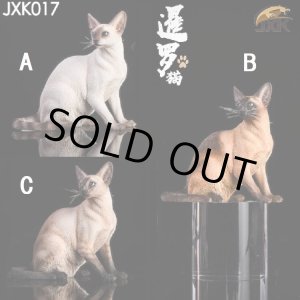 画像: JxK Studio 1/6 シャム猫 お座り 3種 JxK017 *お取り寄せ