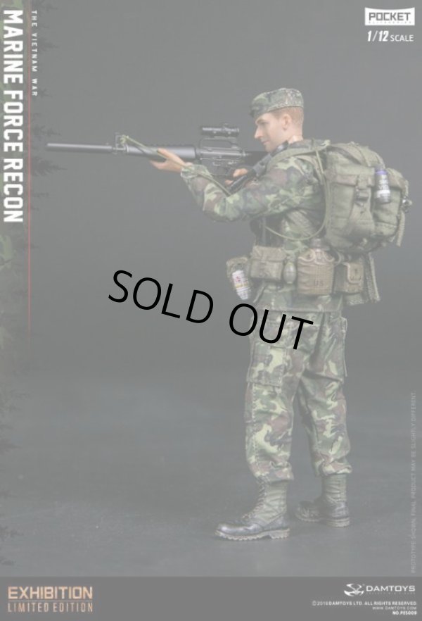 DAMTOYS 1/12 アメリカ海兵隊武装偵察部隊 マリーン・フォース