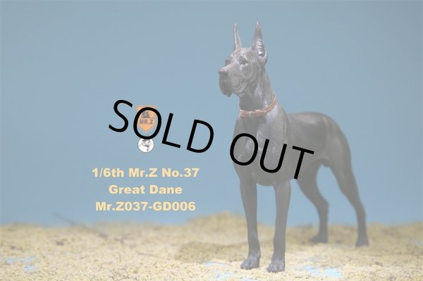 Mr.Z 1/6 ジャーマン グレートデン 6種 MRZ037 *お取り寄せ - 1