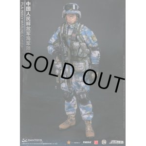 画像: DAMTOYS 1/6 中国人民解放軍 海軍兵 アクションフィギュア 78068 *予約