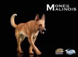 画像5: JxK Studio 1/6 ベルジアン シェパード ドッグ マリノア Malinois ジョン・ウィック 4種 JxK019 *お取り寄せ