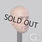画像: GACTOYS 1/6 欧米男性ヘッド ヴィン・ディーゼル似 GC030 *お取り寄せ