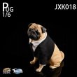 画像12: JxK Studio 1/6 パグ イン ブラック ”フランク” JxK018 *お取り寄せ