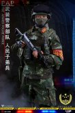 画像2: FLAGSET 1/6 FS73028 中国人民武装警察部隊 PAP The Armed Police Force アクションフィギュア *予約