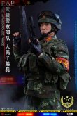 画像6: FLAGSET 1/6 FS73028 中国人民武装警察部隊 PAP The Armed Police Force アクションフィギュア *予約