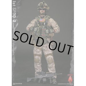 画像: DAMTOYS 1/6 1st SFOD-D 第1特殊部隊デルタ作戦分遣隊 コンバット アプリケーション グループ GUNNER アクションフィギュア 78074 *お取り寄せ