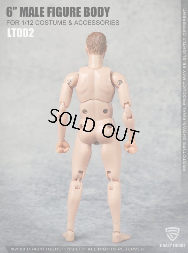 Multi Joint Movable 1/12 Scale Male Body With Neck (LT002)