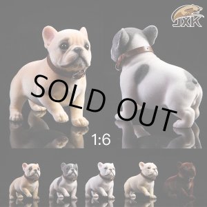 画像: JxK.Studio 1/6  フレンチ・ブルドッグ もこもこ 起毛 犬 5種 JXK028 *お取り寄せ