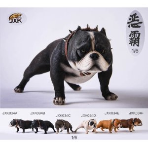 画像: JxK Studio 1/6 アメリカンブリー ピットブル 犬 スタチュー 6種 JKX034 *お取り寄せ