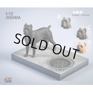 画像: JxK Studio 1/12 イタリアン・コルソ・ドッグ カネコルソ 犬 with ジオラマスタンド 4種 JKX040 *お取り寄せ