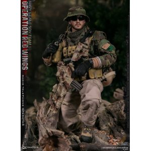 画像: DAMTOYS 1/6 米海軍特殊部隊 ネイビーシールズ SDVチーム1 - ラジオ テレフォン オペレーター  ”レッド・ウィング作戦” in アフガニスタン アクションフィギュア 78081 *お取り寄せ