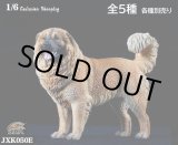 画像: JxK Studio 1/6 コーカシアン・シープドッグ Caucasian Sheepdog 5種 JXK050 *お取り寄せ